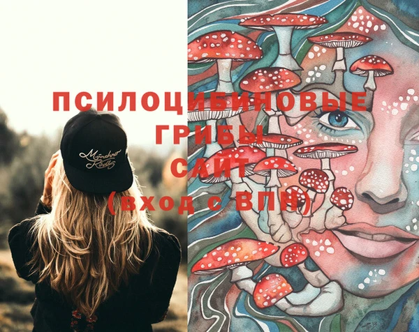 соль ск Белоозёрский