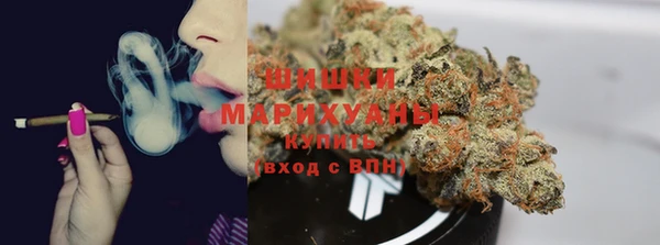 стаф Тобольск