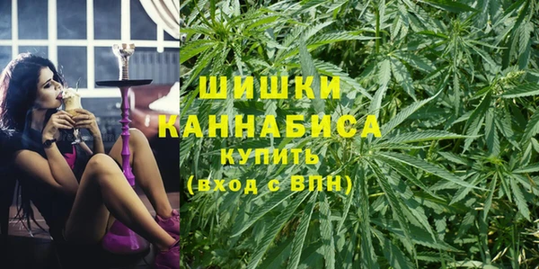 2c-b Белокуриха
