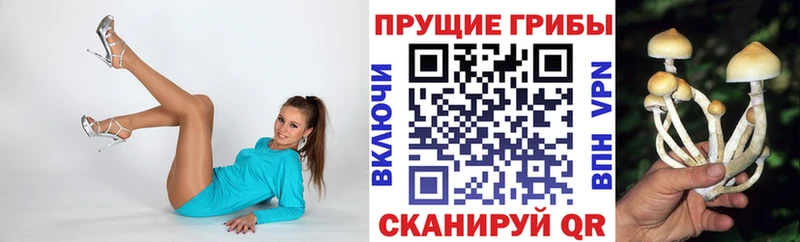 Галлюциногенные грибы GOLDEN TEACHER Верхняя Пышма
