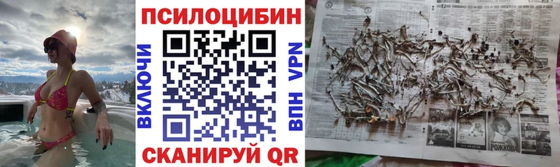Псилоцибиновые грибы MAGIC MUSHROOMS Верхняя Пышма