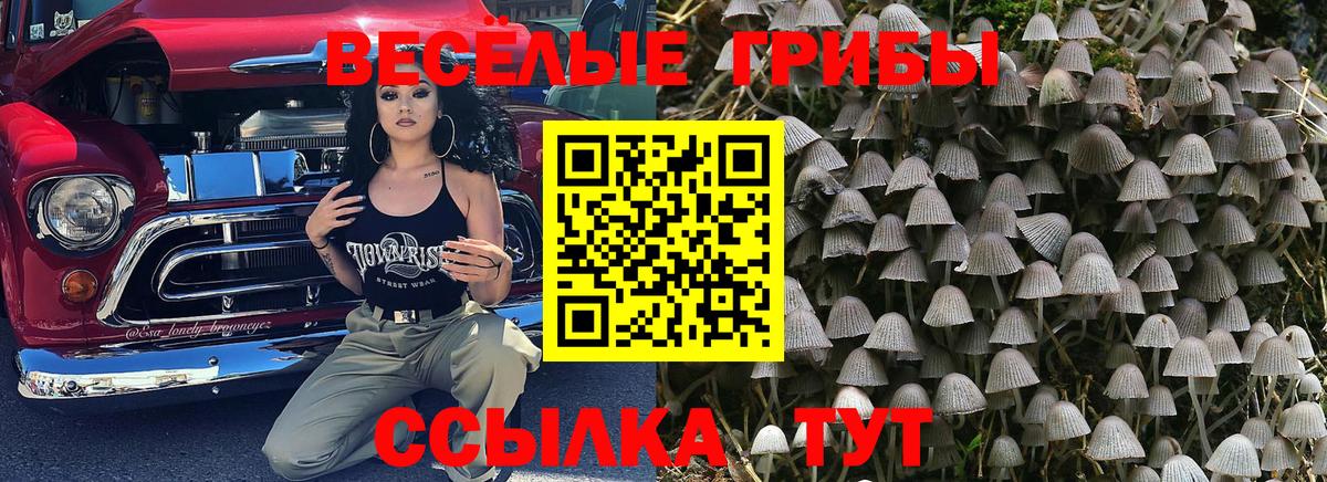 Галлюциногенные грибы ЛСД  Вход с VPN  Верхняя Пышма 