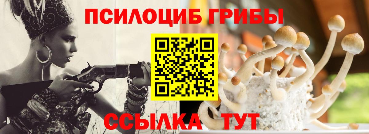 Псилоцибиновые грибы Magic Shrooms Верхняя Пышма
