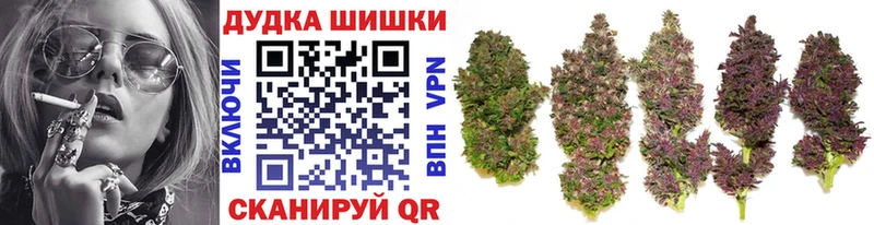 Бошки марихуана VHQ  купить наркотики сайты  Верхняя Пышма 
